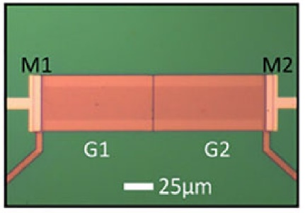 Fig 7